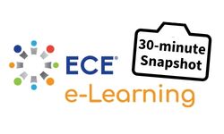 ECE® Snapshot