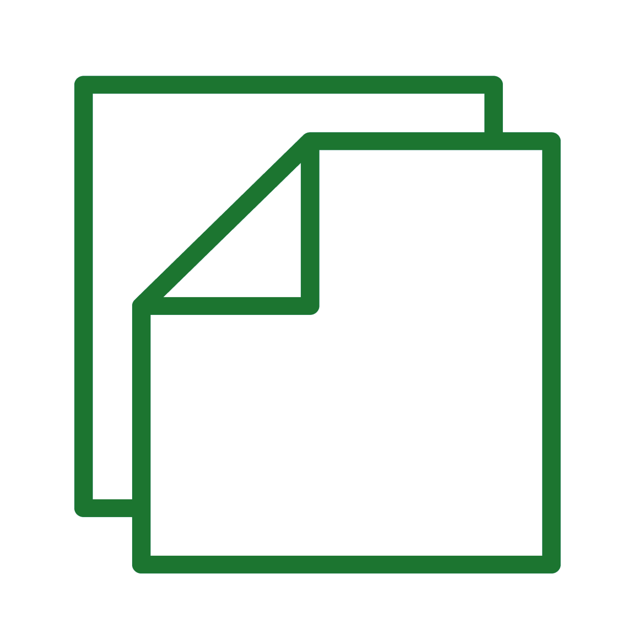 Document Requirements Icon